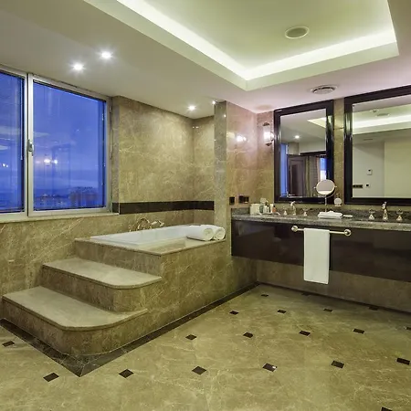 ホテル ヒルトン カイセリ