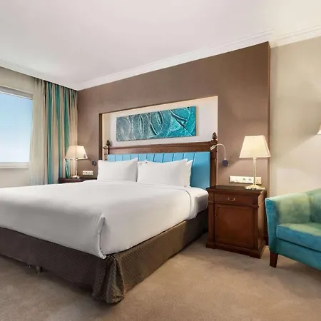 ヒルトン ホテル カイセリ